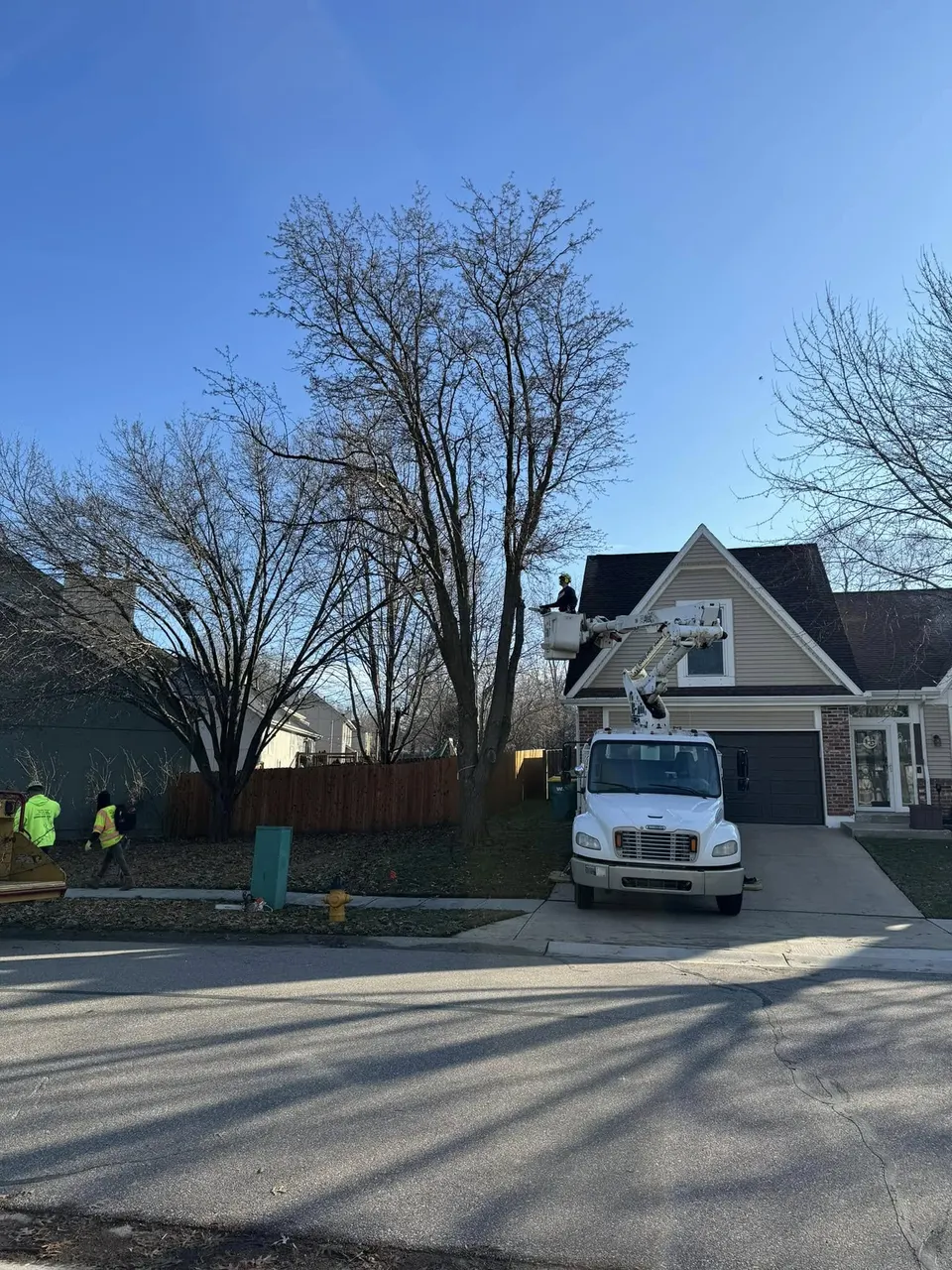 Affordable Treefellers crew in safety gear performing tree trimming in Kansas