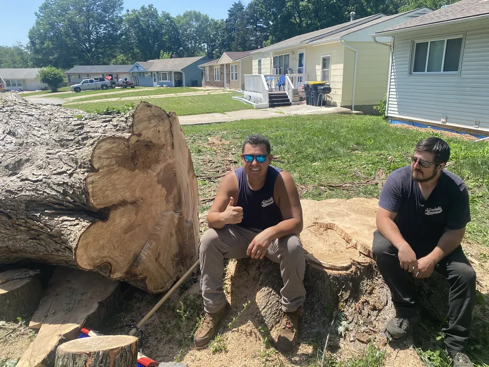 Affordable Treefellers crew member on the job in Kansas