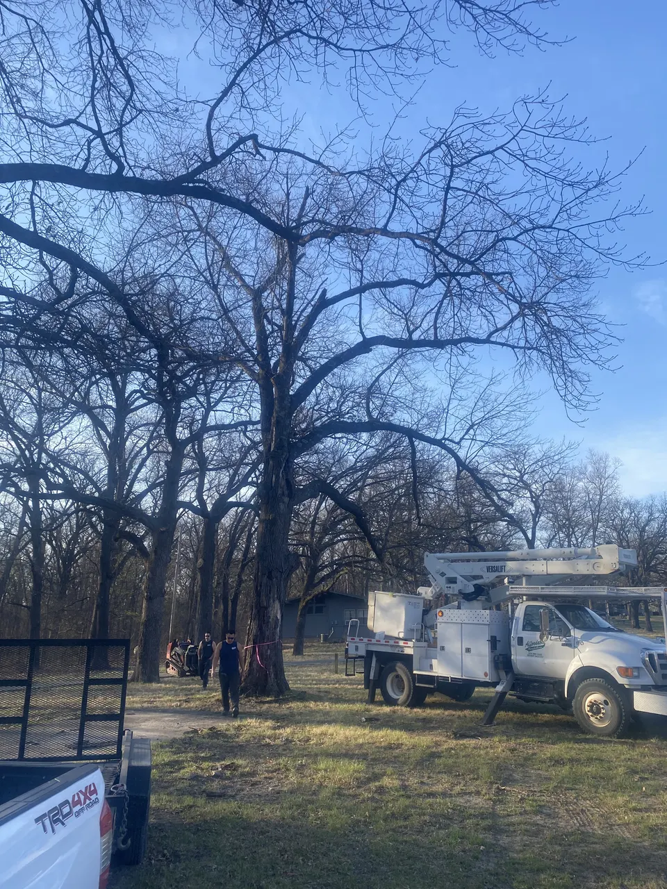 Affordable Treefellers work truck at job site in Kansas