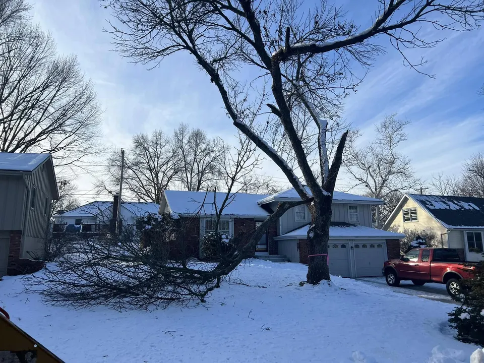 Branch fallen in snowy Kansas neighborhood requiring storm damage cleanup