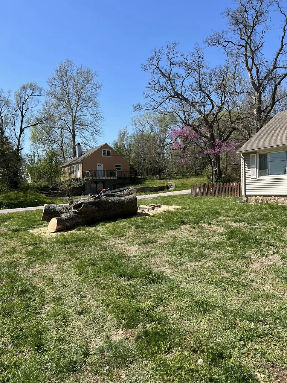 Cut logs in yard after tree removal awaiting stump grinding in Kansas