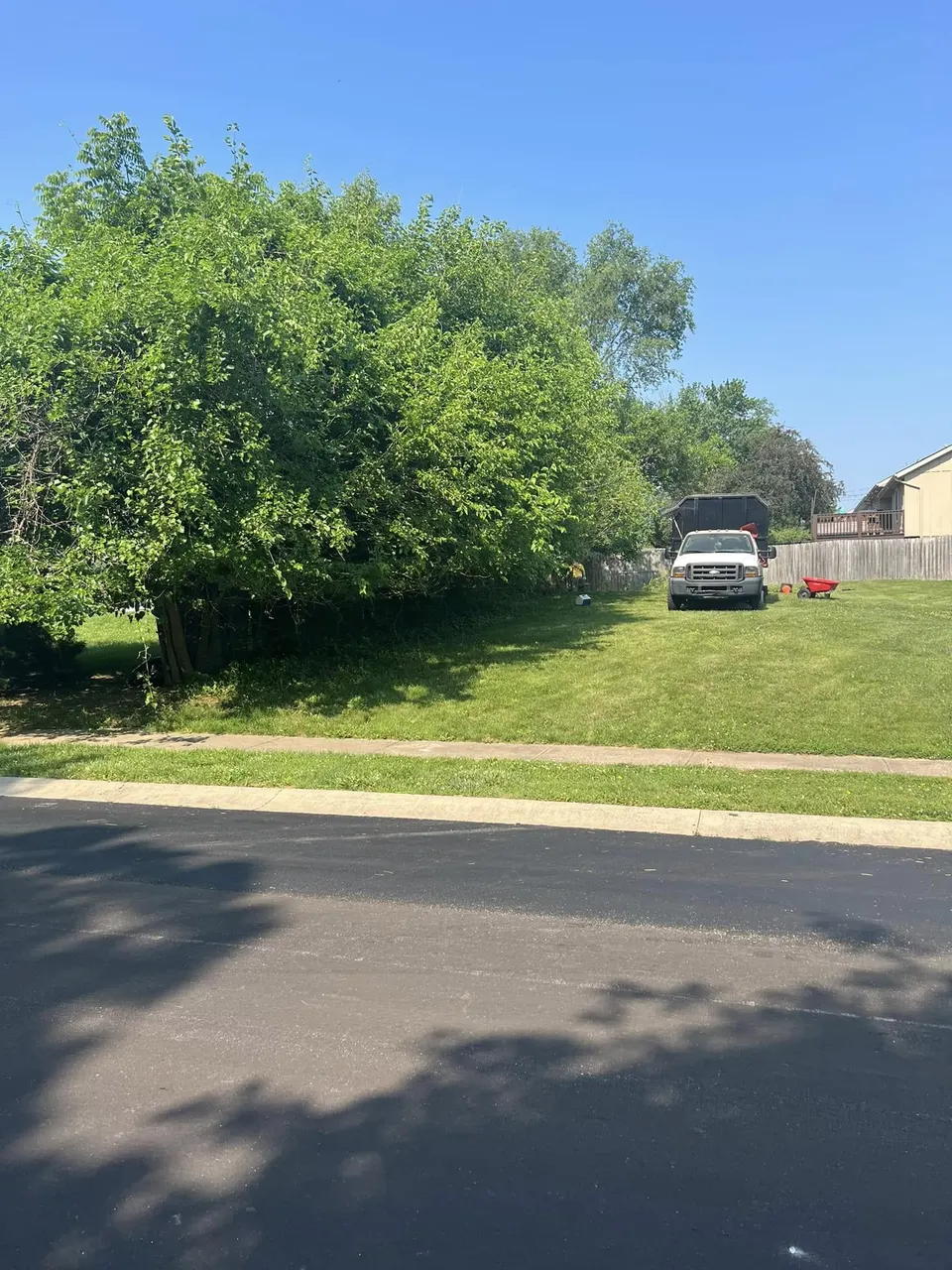 Overgrown brush requiring lot clearing in Shawnee, KS