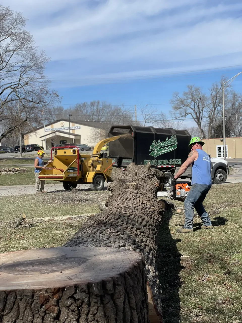 Worker with chainsaw cutting trunk during tree service job in Kansas